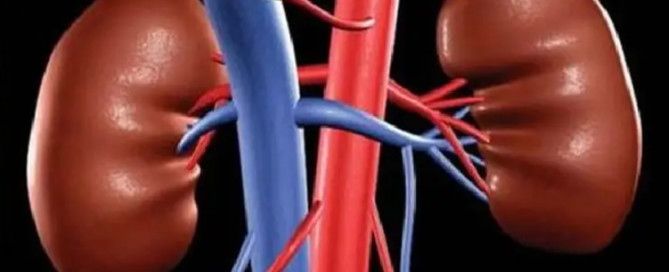Dialysis Rounding Primer