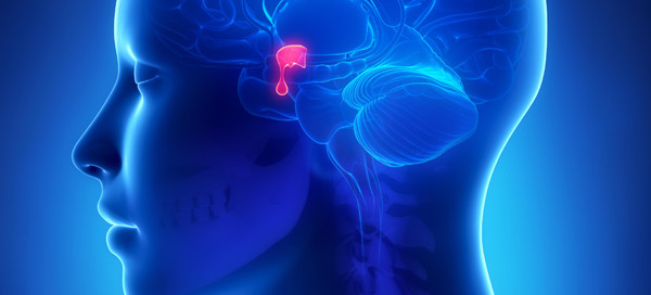 Pituitary Gland Disorders