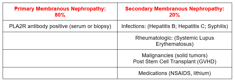 Primary Membranous Nephropathy