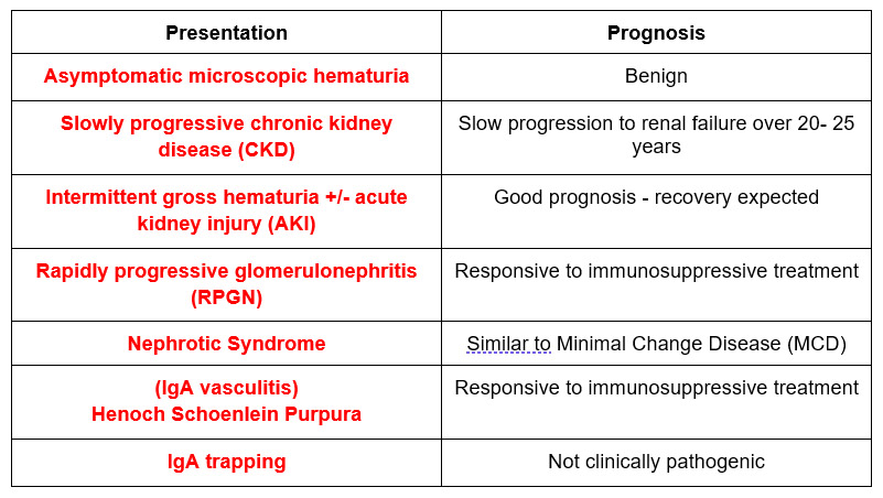 IgA Nephropathy | BCNephro