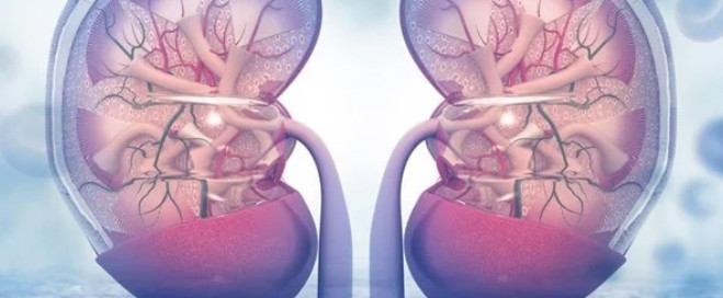 Nephrotoxicity