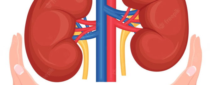Dialysis Rounding Primer - Nutrition