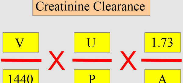 Calculate Creatinine Clearance