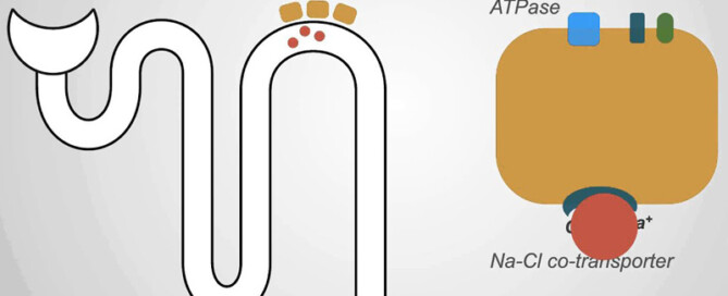 Thiazide Diuretics