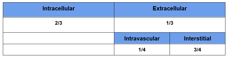 Distribution of Total Body Water