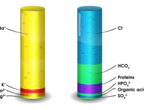 Causes of a Low Anion Gap