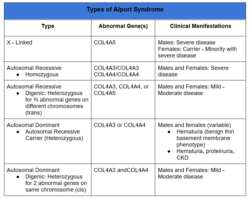 Alport Syndrome