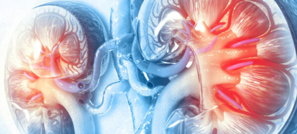 Bisphosphonates and Denosumab in Kidney Disease