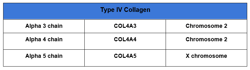 Collagen