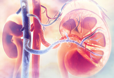 Lipid Lowering Agents