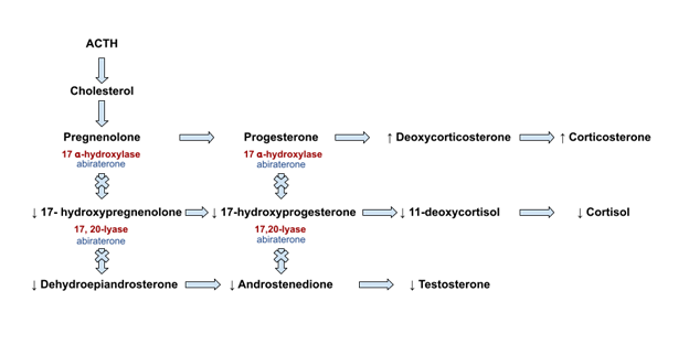 congenital adrenal hyperplasia