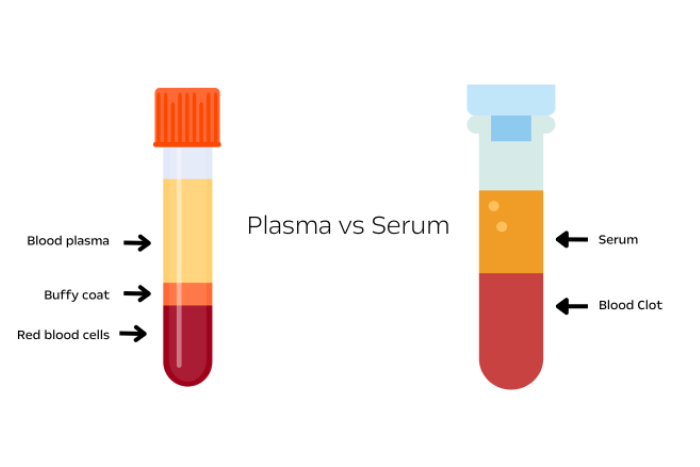 Plasma vs Serum